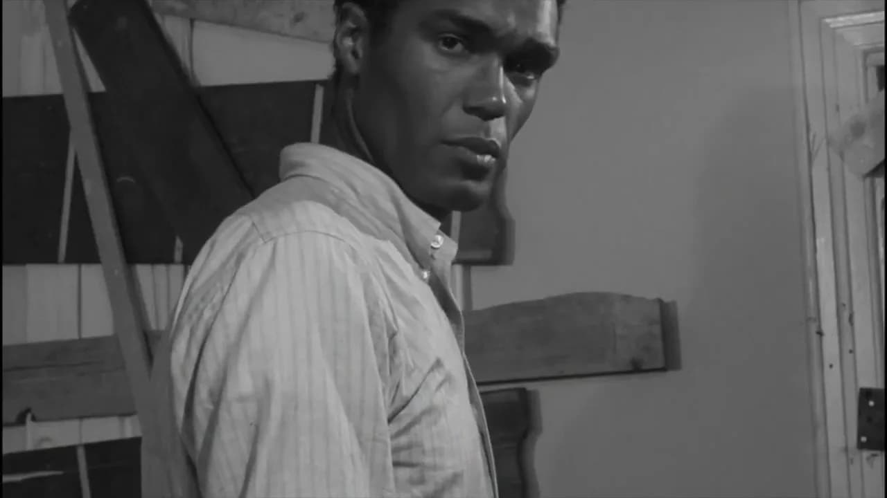 ROUGH KUTS: Night of the Living Dead görsel 9