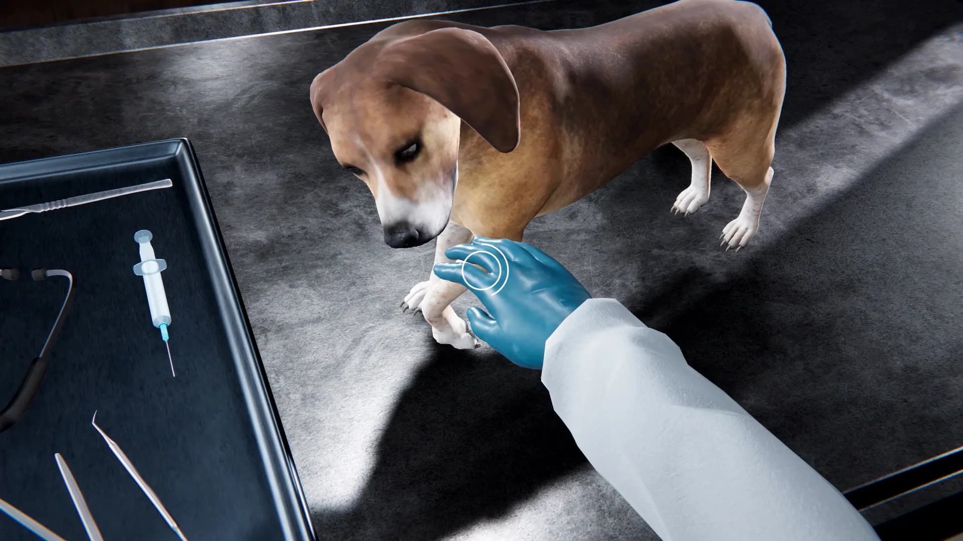 Veterinary Clinic Simulator görsel 5
