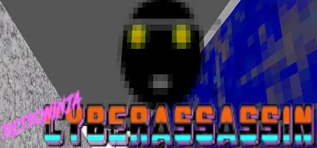 Retroninjacyberassassin görsel 1