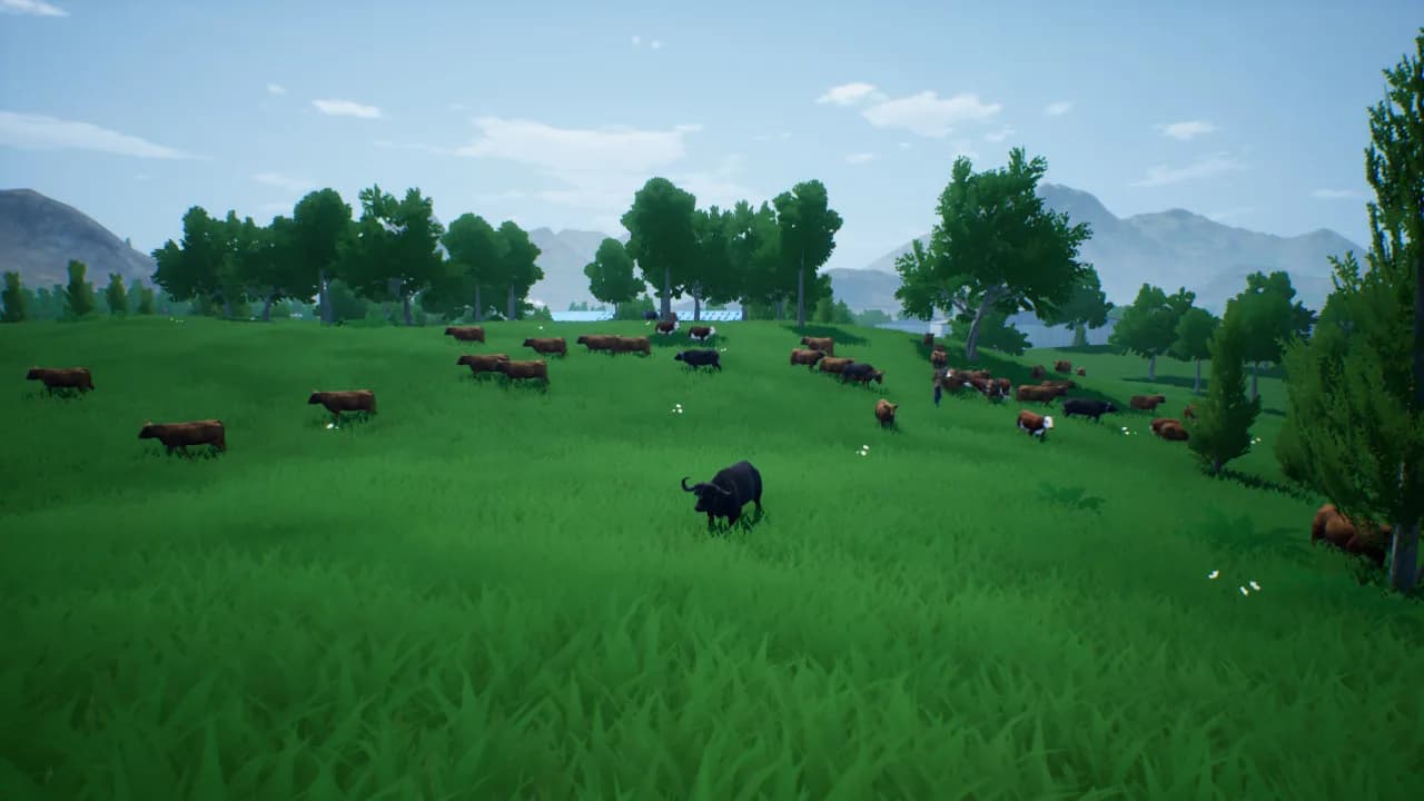 肉牛养殖计划 görsel 2