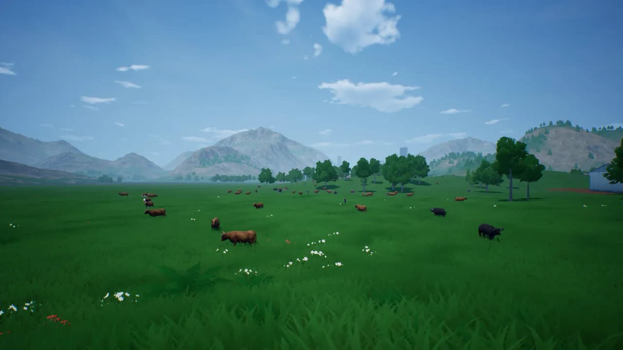 肉牛养殖计划 görsel 3