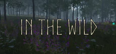In the Wild