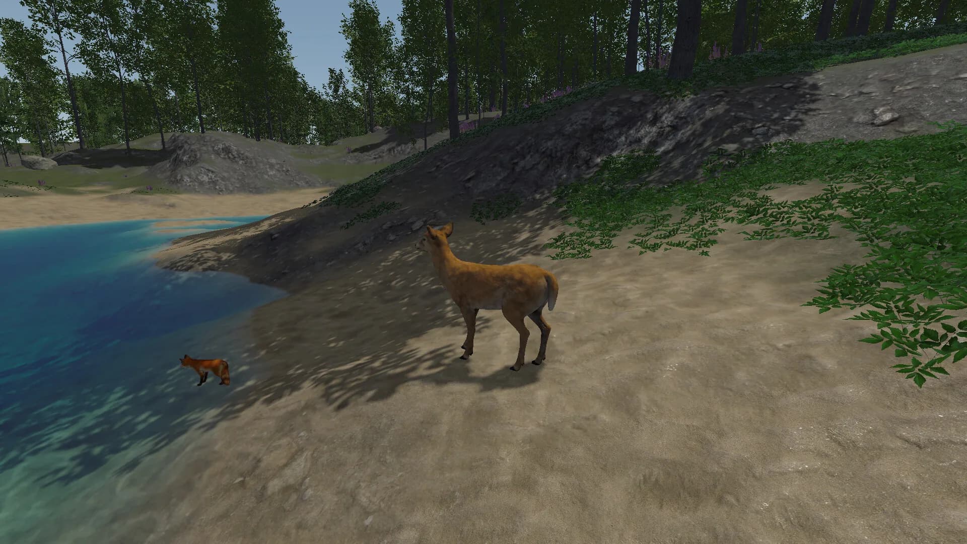 In the Wild görsel 5