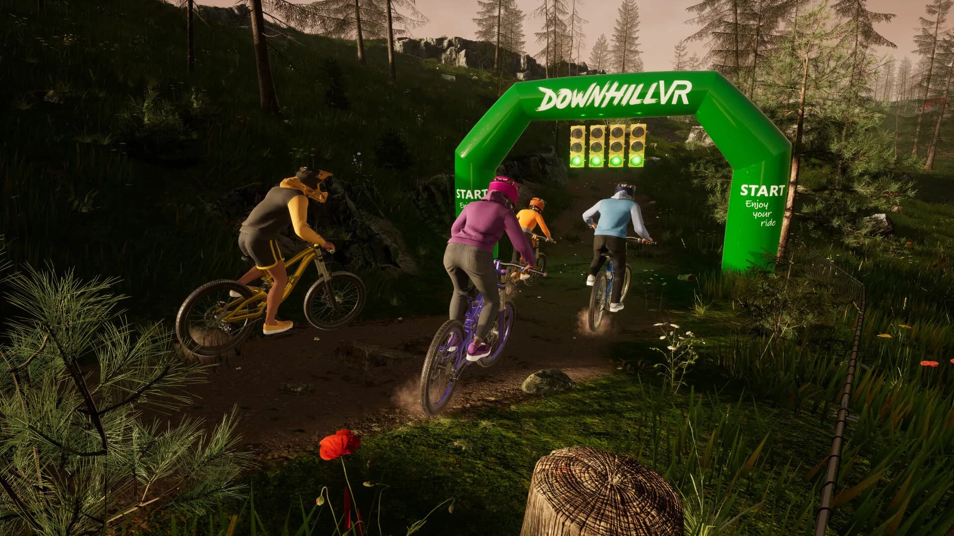 DownhillVR görsel 3