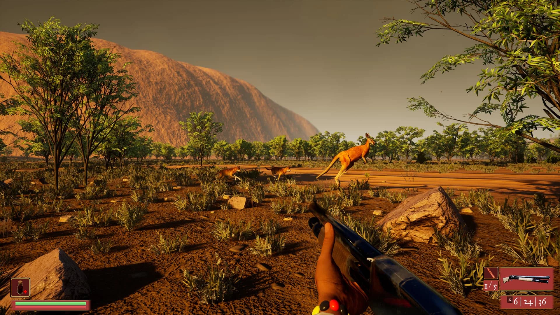 Straya görsel 2