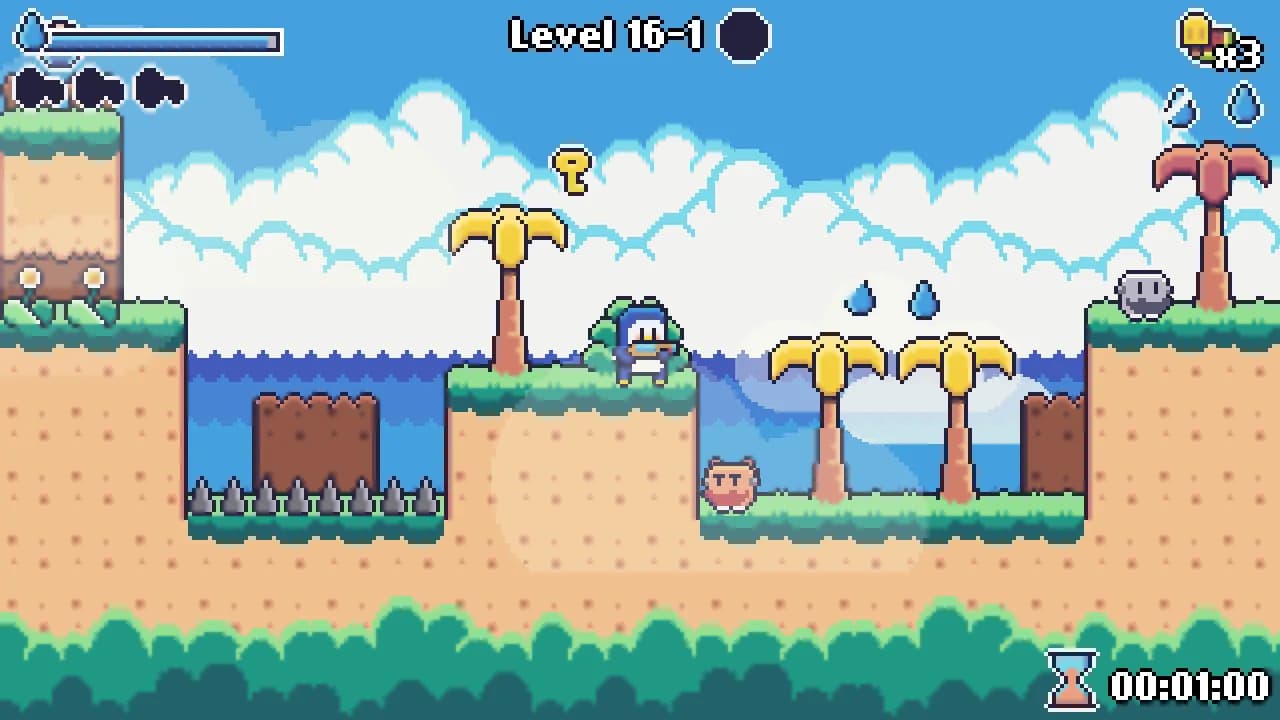 Super Sunny Island görsel 3