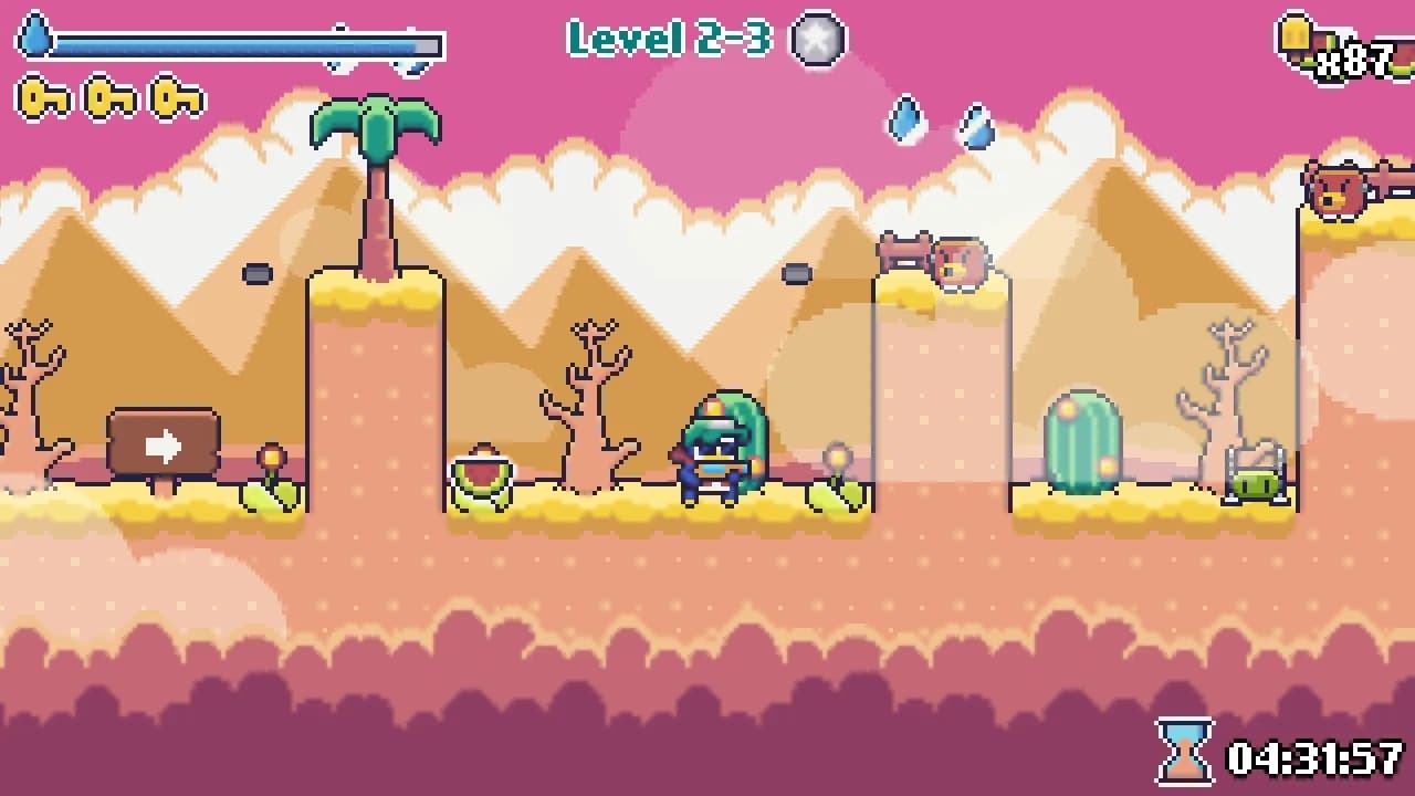 Super Sunny Island görsel 7