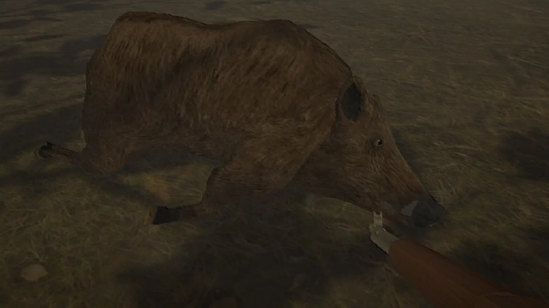 Hog Hunter 2021 görsel 2