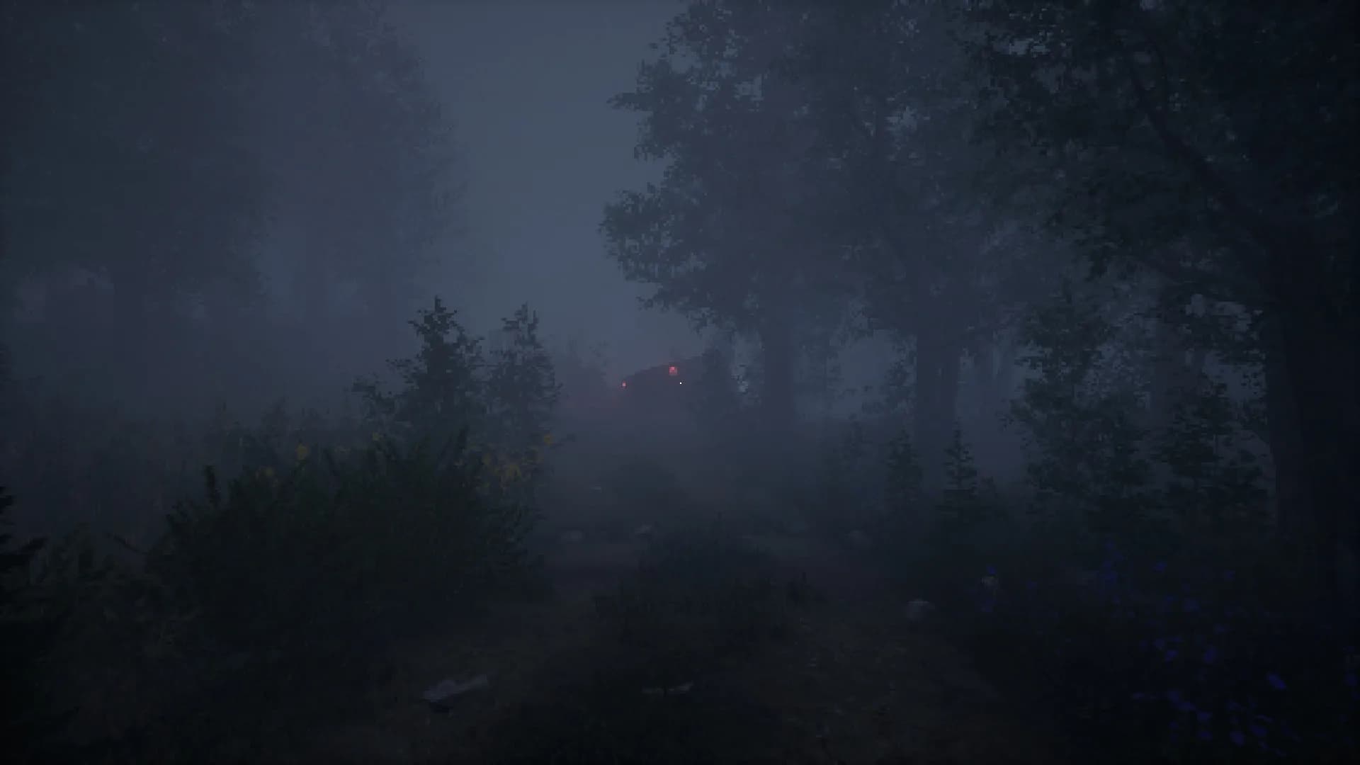 BLACKOUT görsel 11