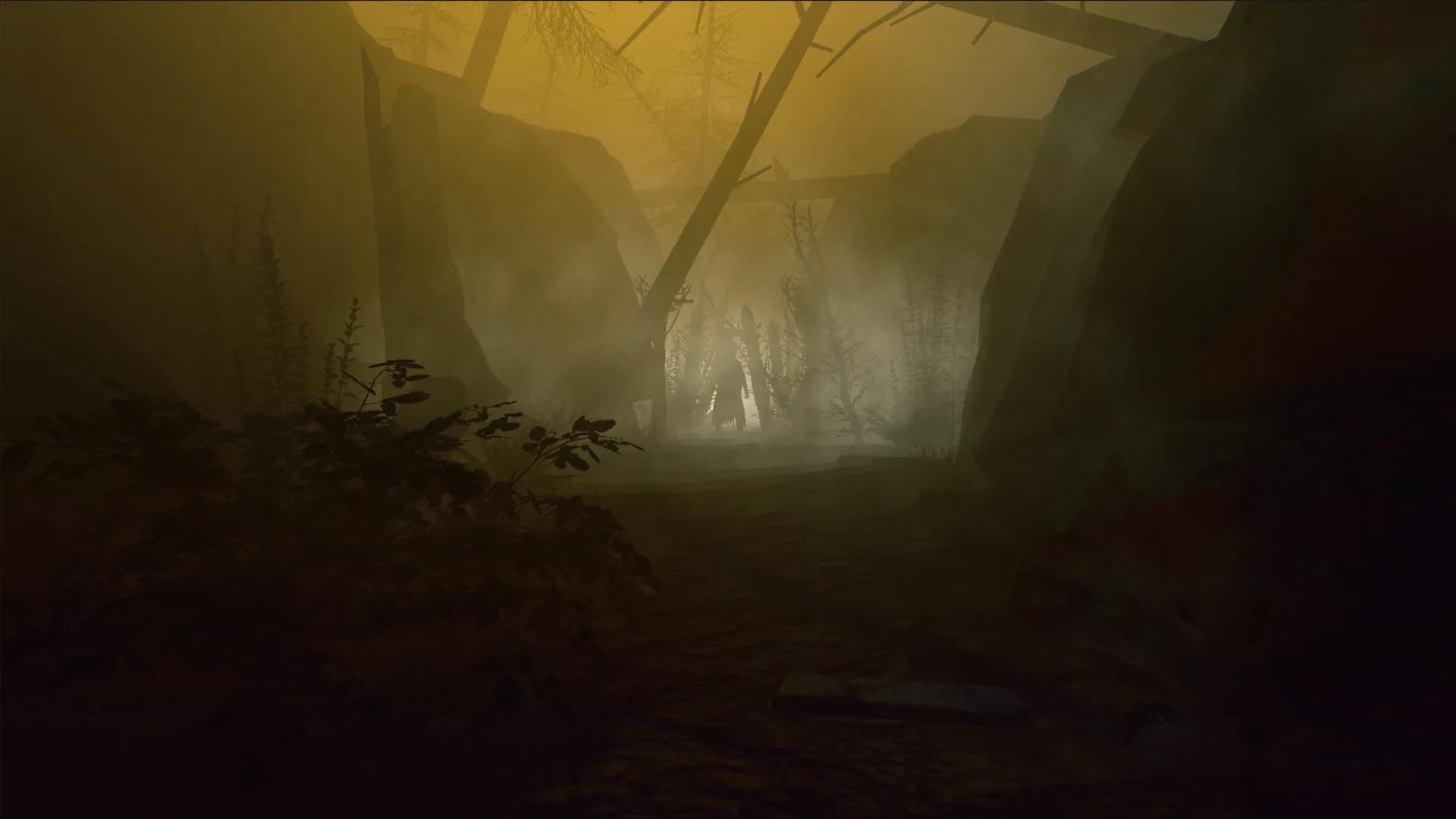 Dark Forest: Lost Story VR görsel 5