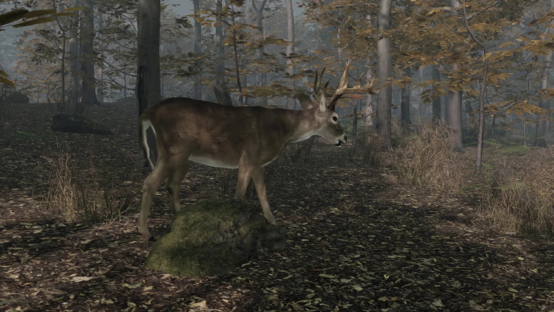 Pro Deer Hunting 2 görsel 2