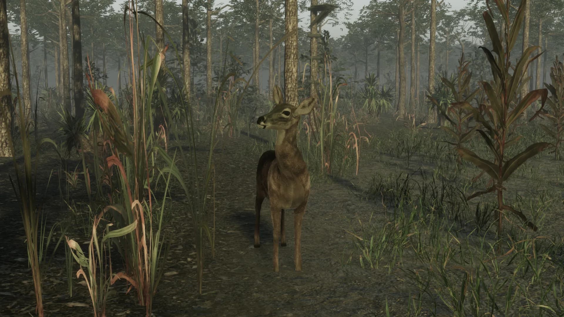 Pro Deer Hunting 2 görsel 4