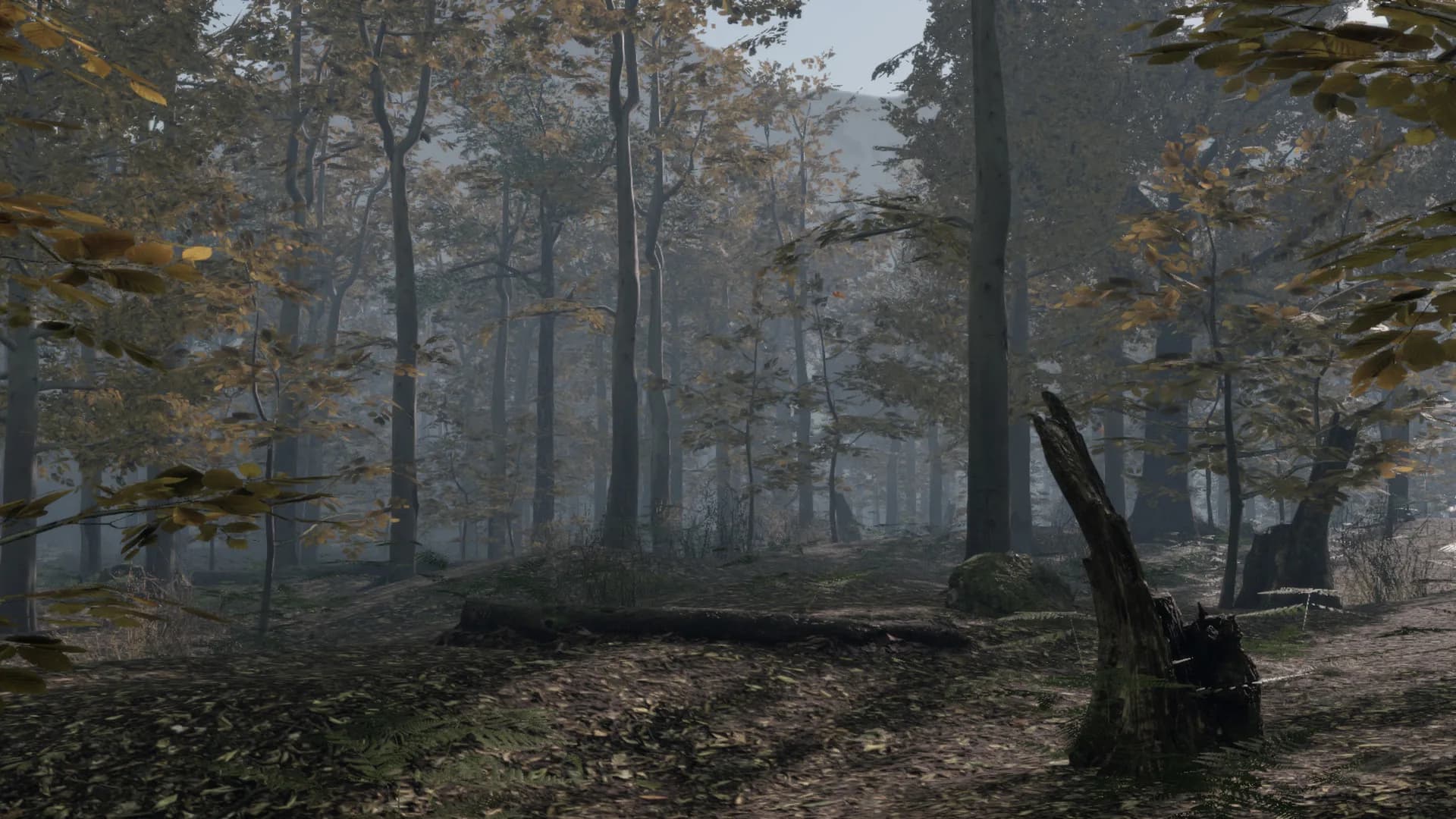 Pro Deer Hunting 2 görsel 5