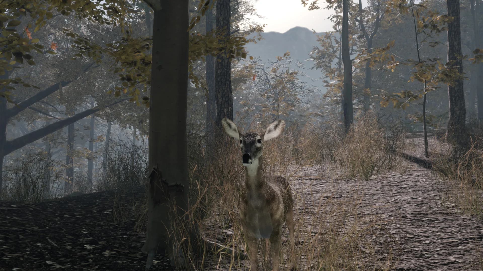 Pro Deer Hunting 2 görsel 9