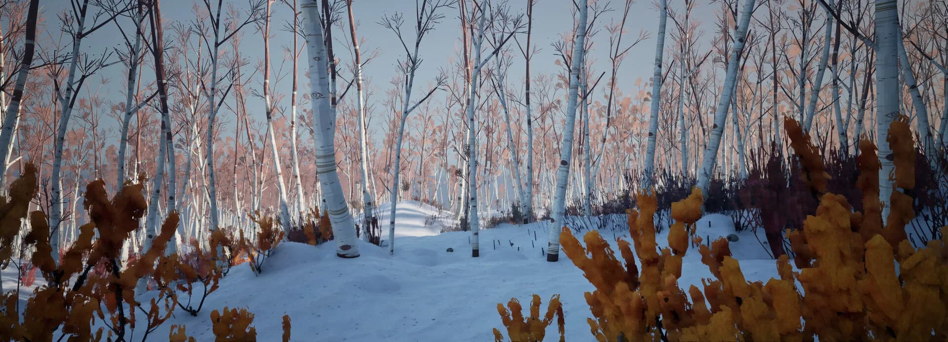 BLACKFROST: The Long Dark 2 görsel 4