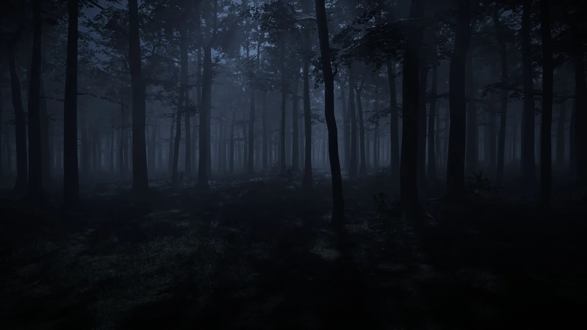 Caught in Nowhere görsel 5