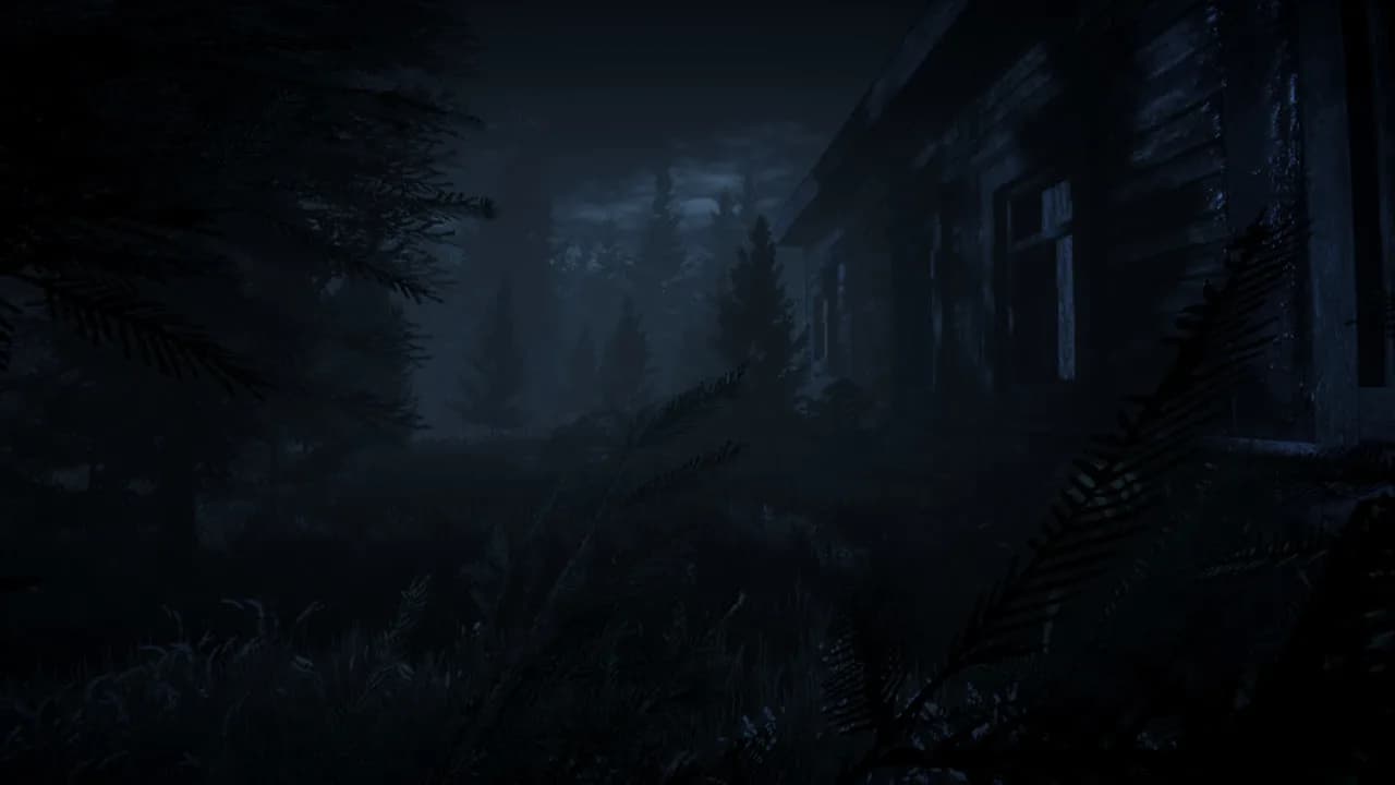 Dark Survival görsel 2