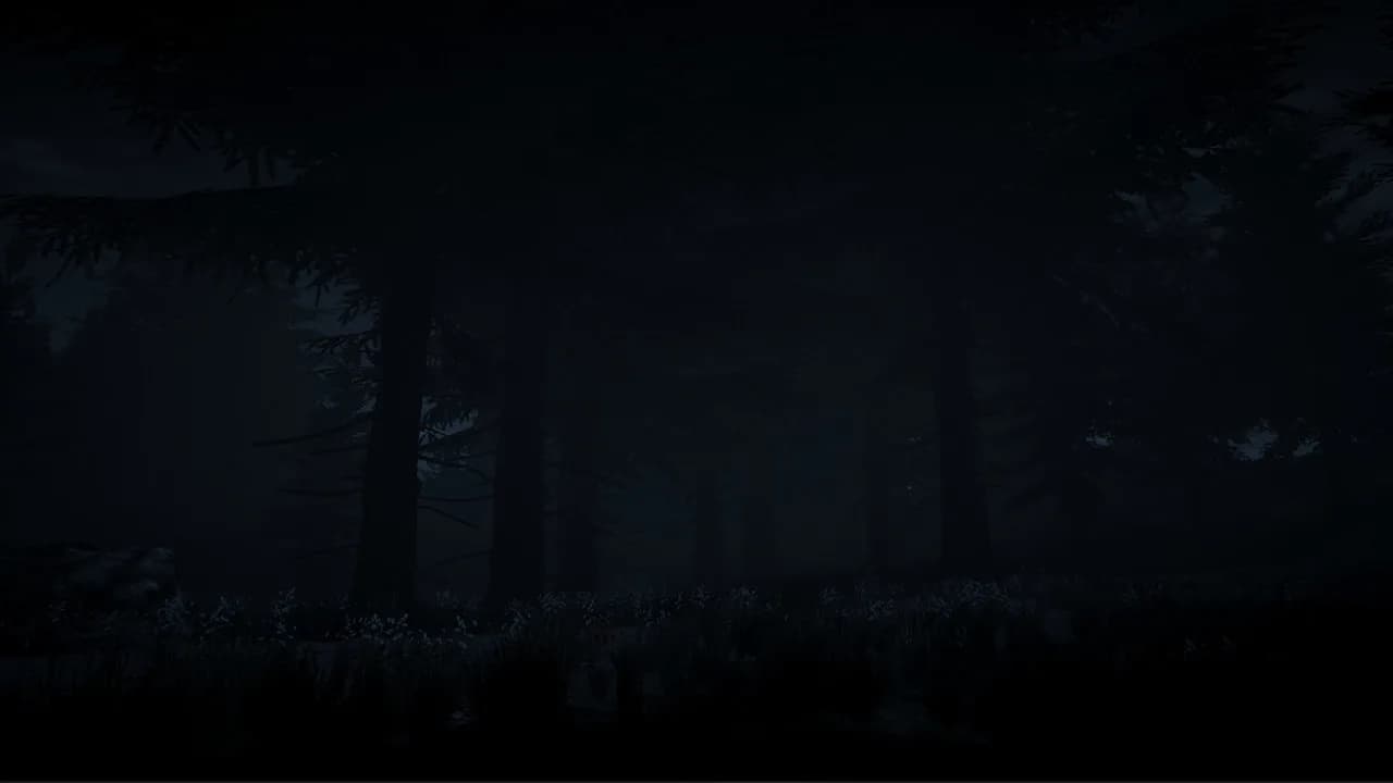 Dark Survival görsel 4
