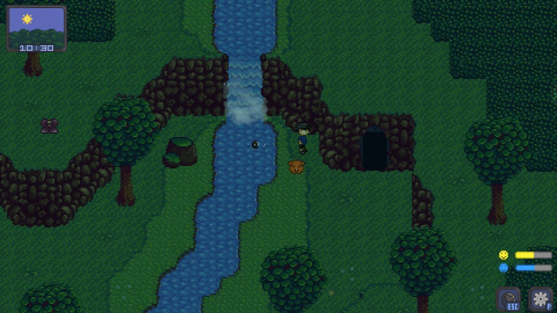 Anima Island görsel 2