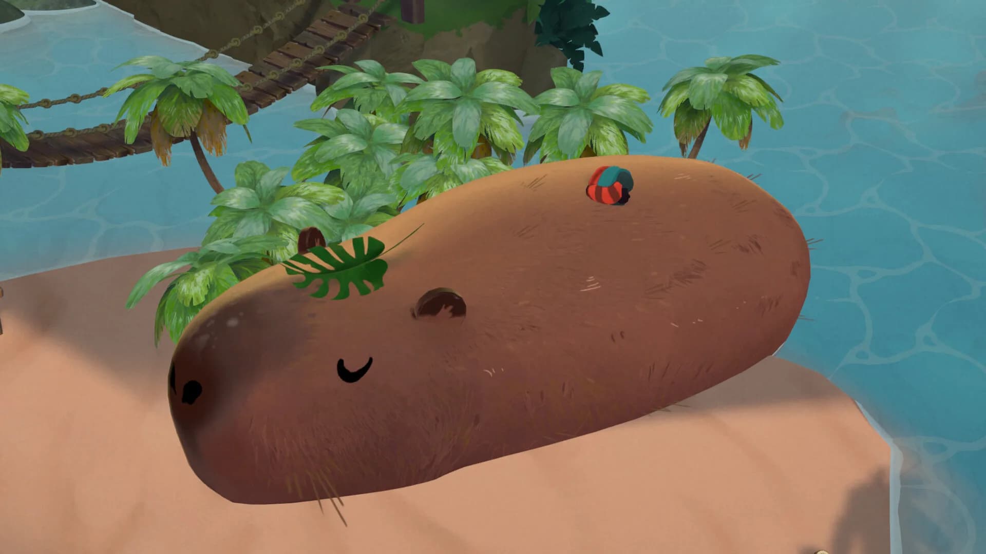 Aka görsel 5