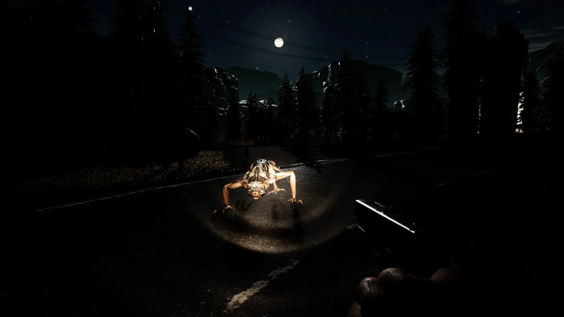Anarchy: Wolf's law : Prologue görsel 3