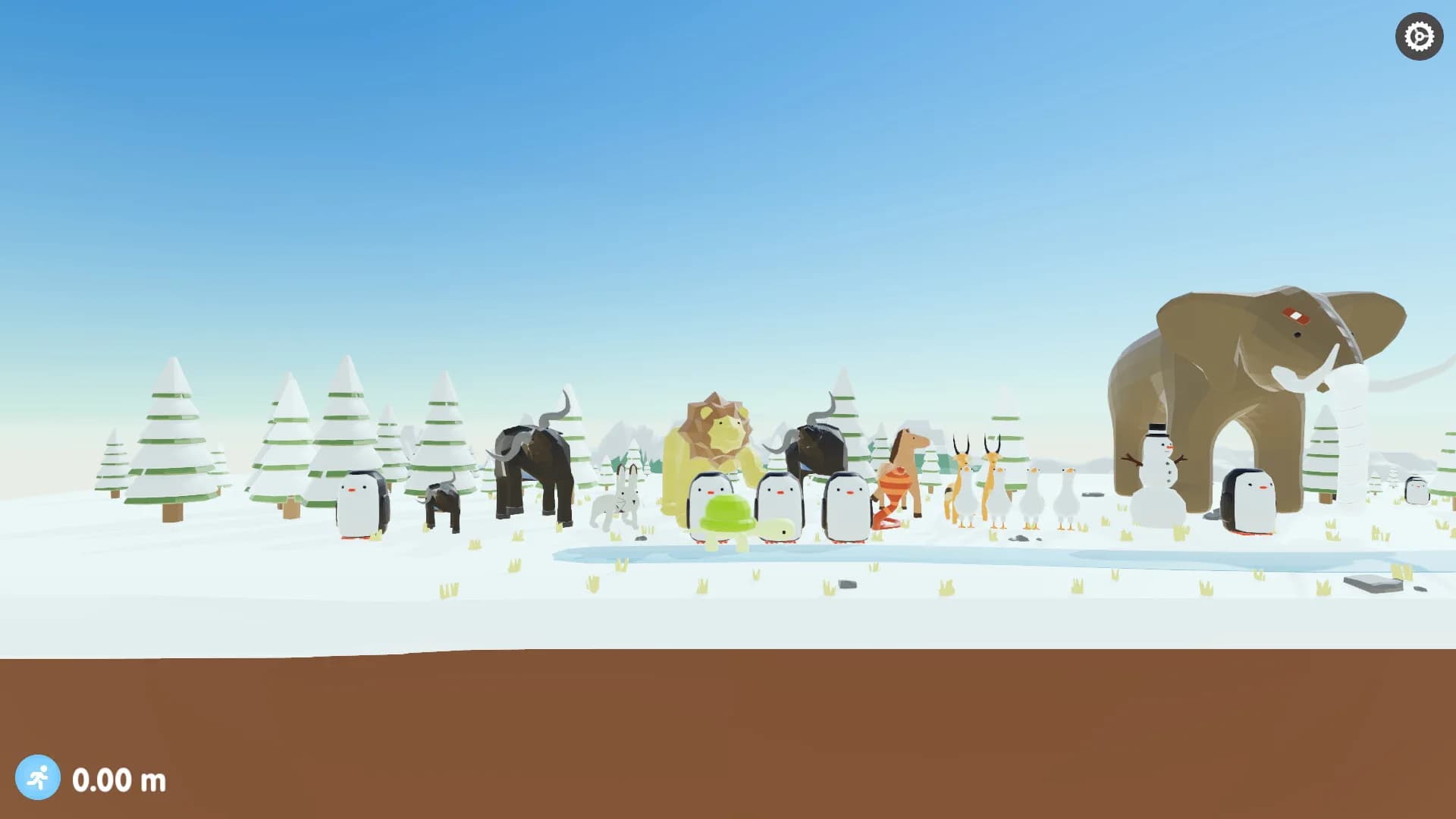 Slow and Steady görsel 2