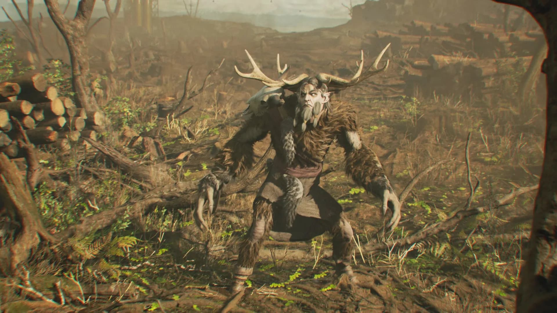 Leshy görsel 7