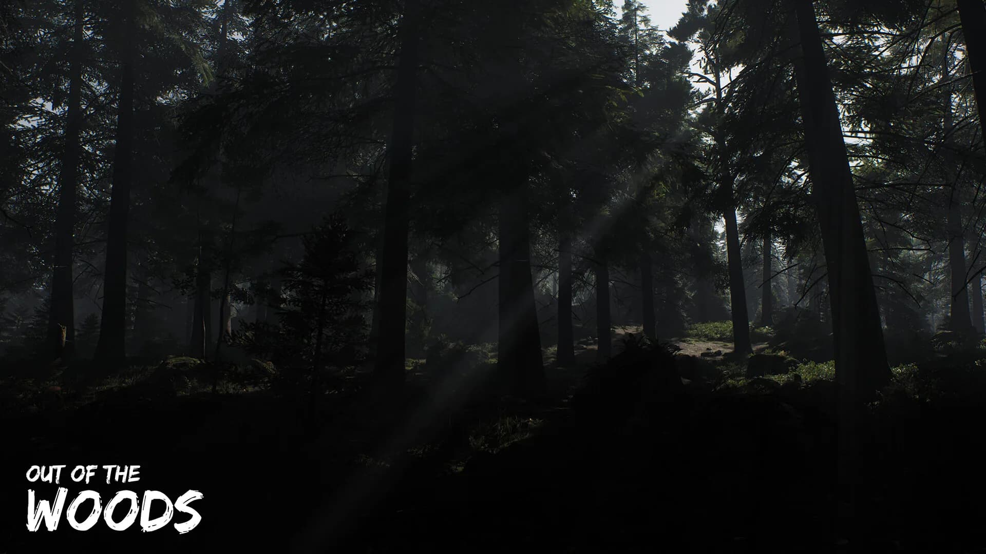 Out of the Woods görsel 6