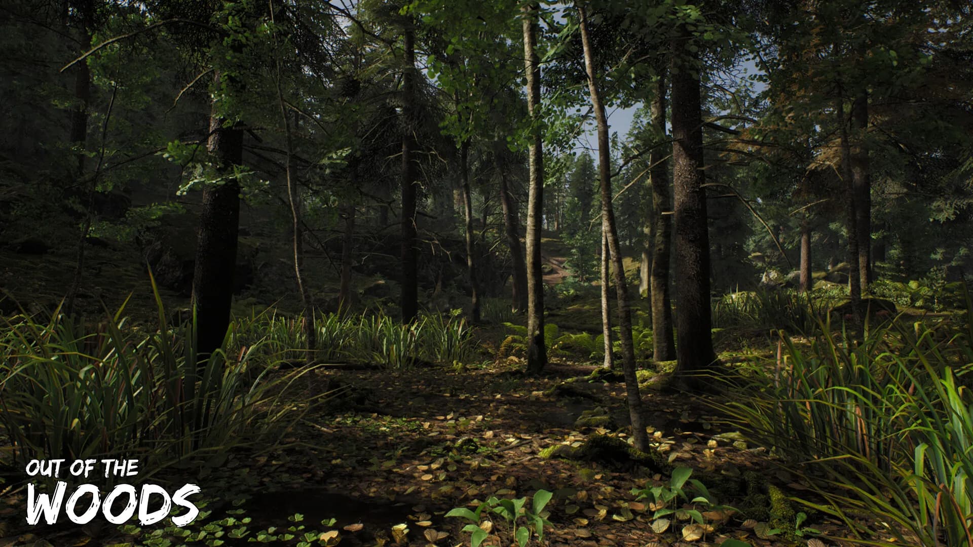 Out of the Woods görsel 8