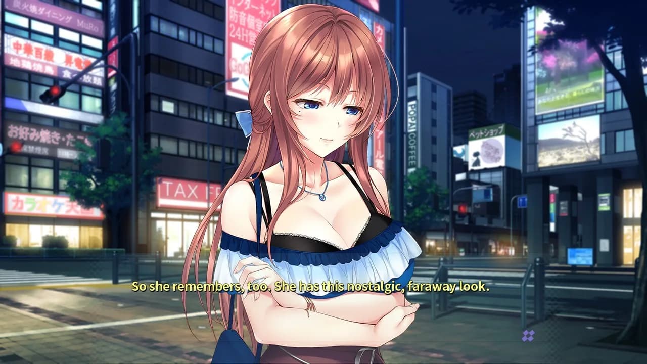 Chihiro Himukai Always Walks Away görsel 6