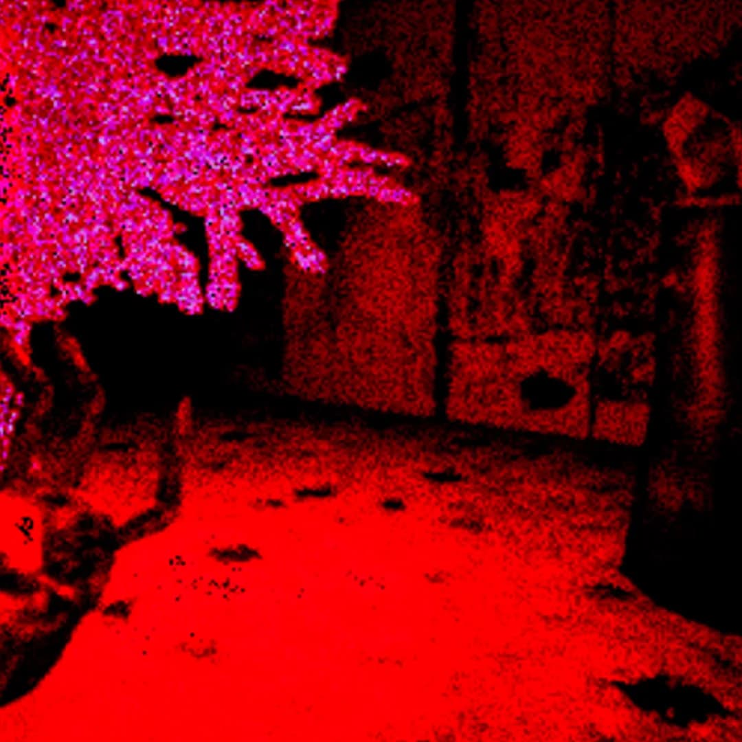 MR 333 görsel 5