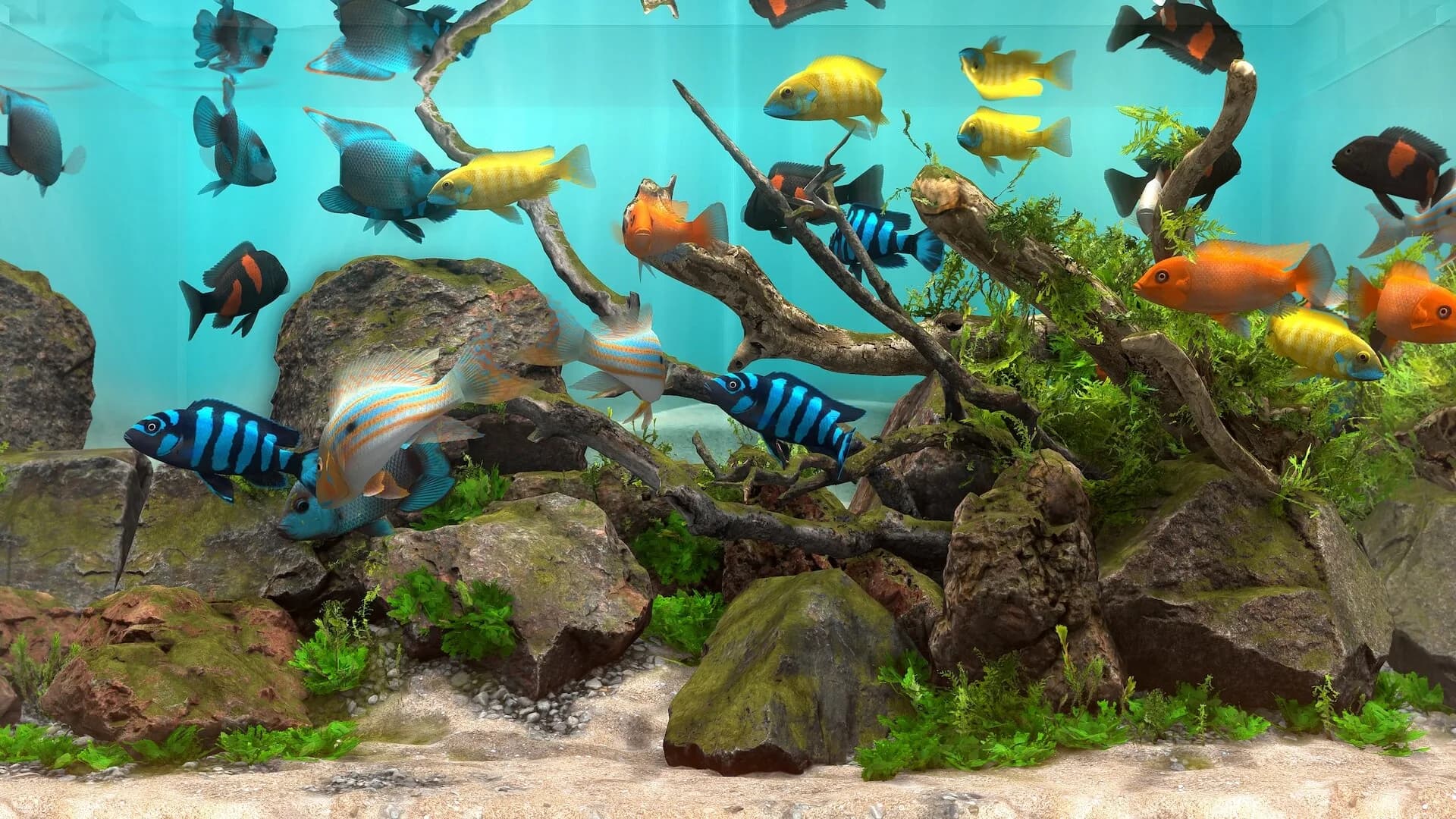 Behind Glass: Aquarium Simulator görsel 2