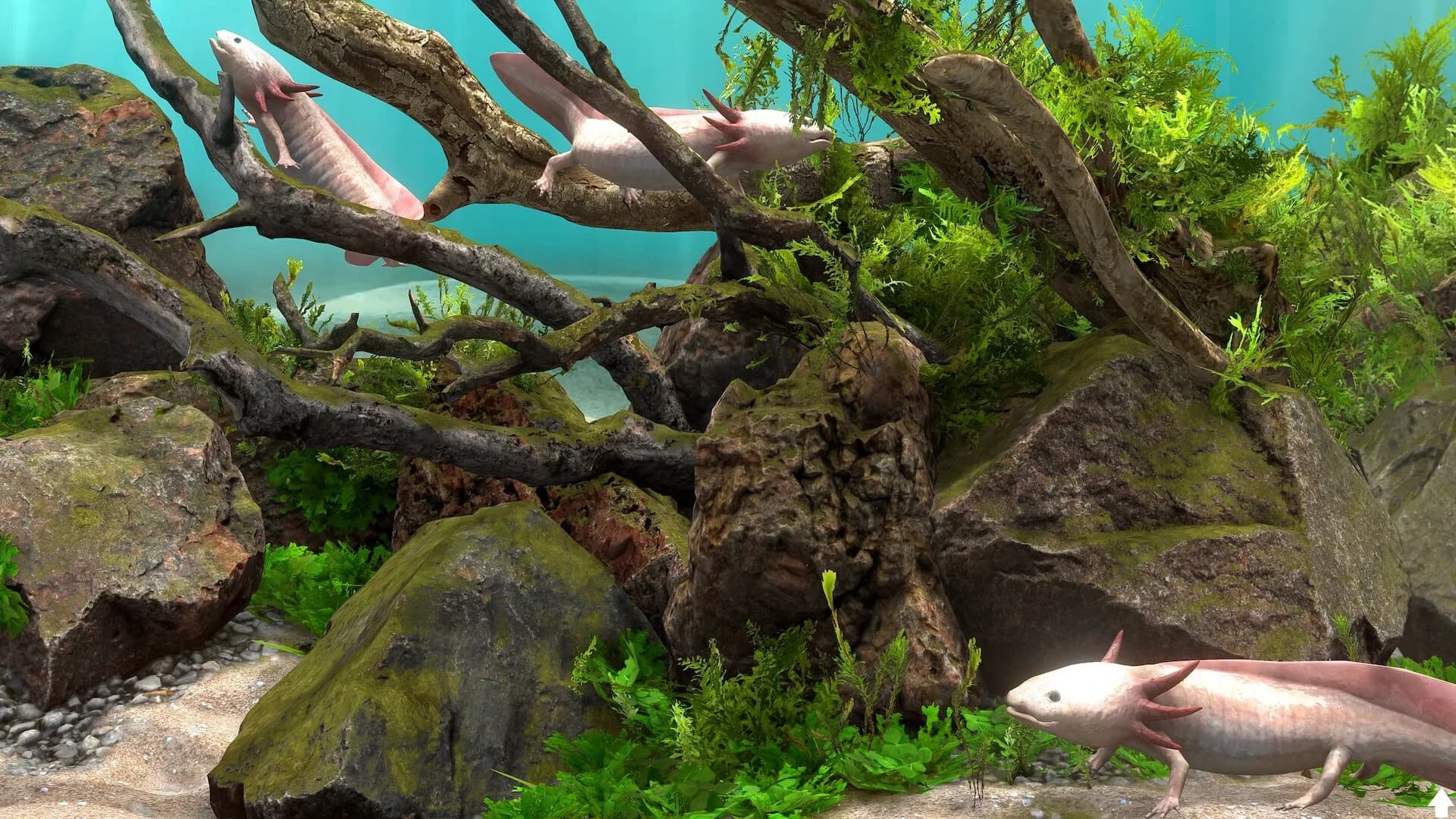 Behind Glass: Aquarium Simulator görsel 5