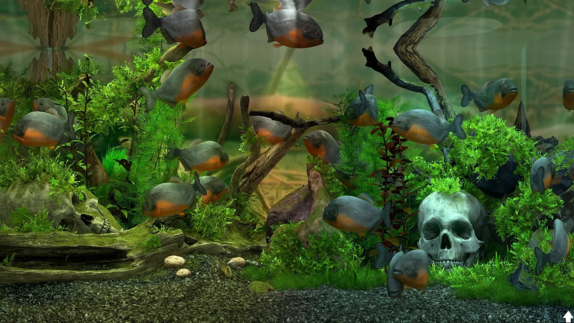 Behind Glass: Aquarium Simulator görsel 6