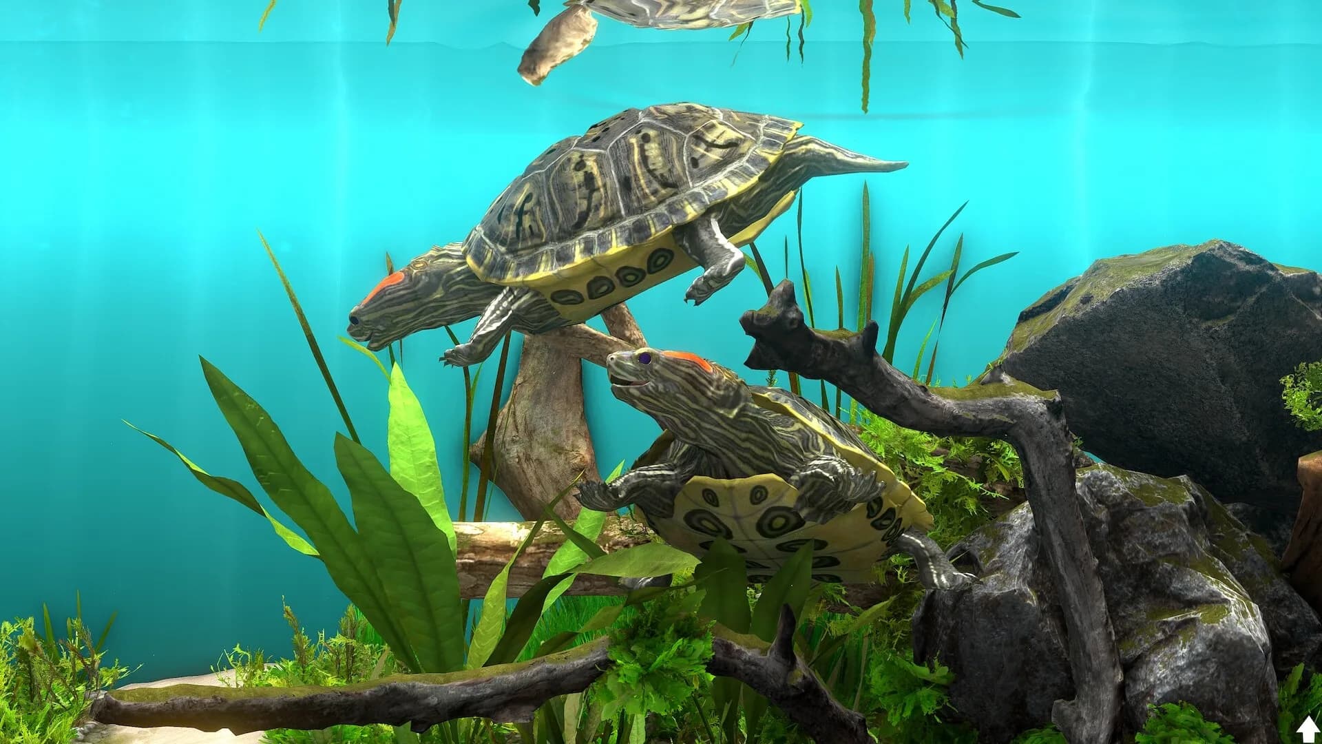 Behind Glass: Aquarium Simulator görsel 8