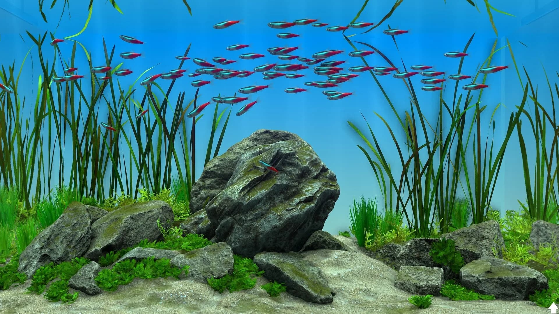 Behind Glass: Aquarium Simulator görsel 10