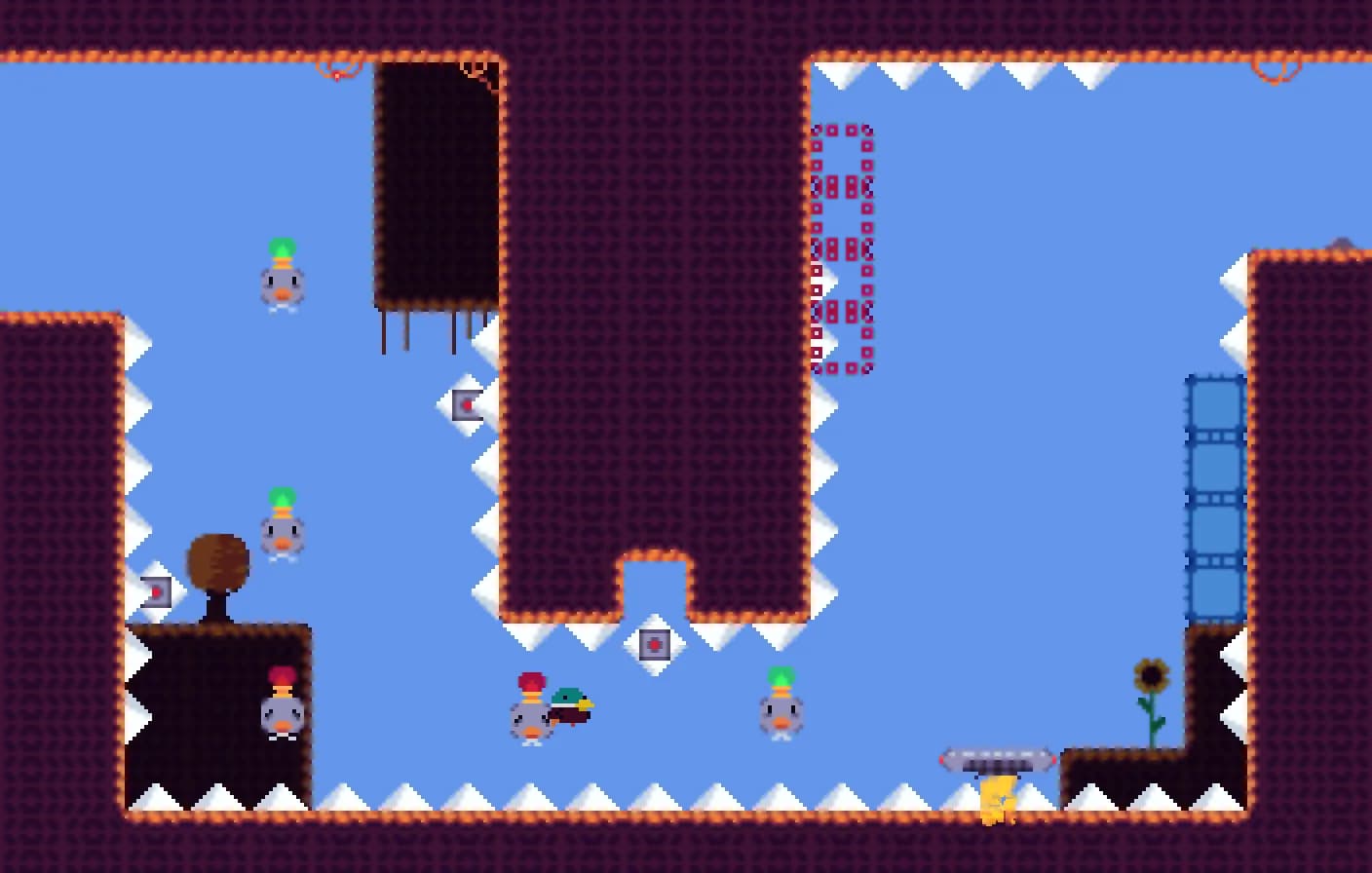 Anatidae: To The Nest Level görsel 5