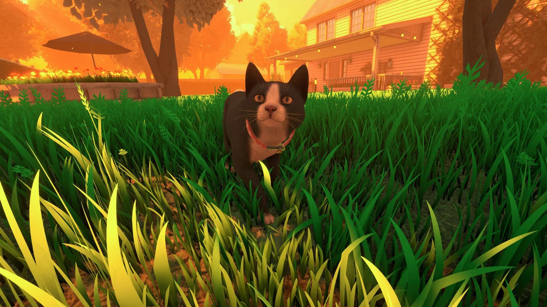Copycat görsel 9