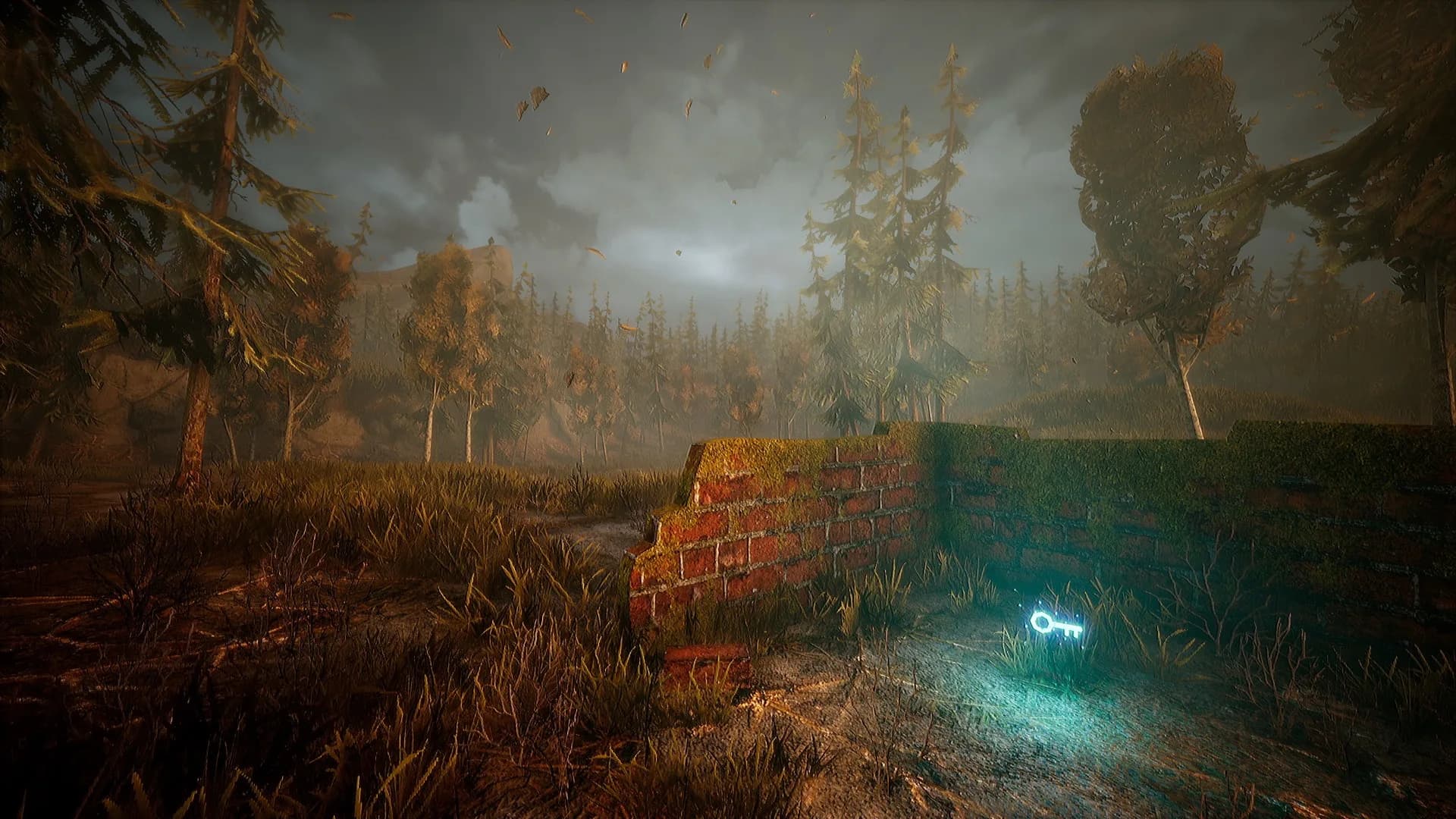 Wandering Wolf görsel 4