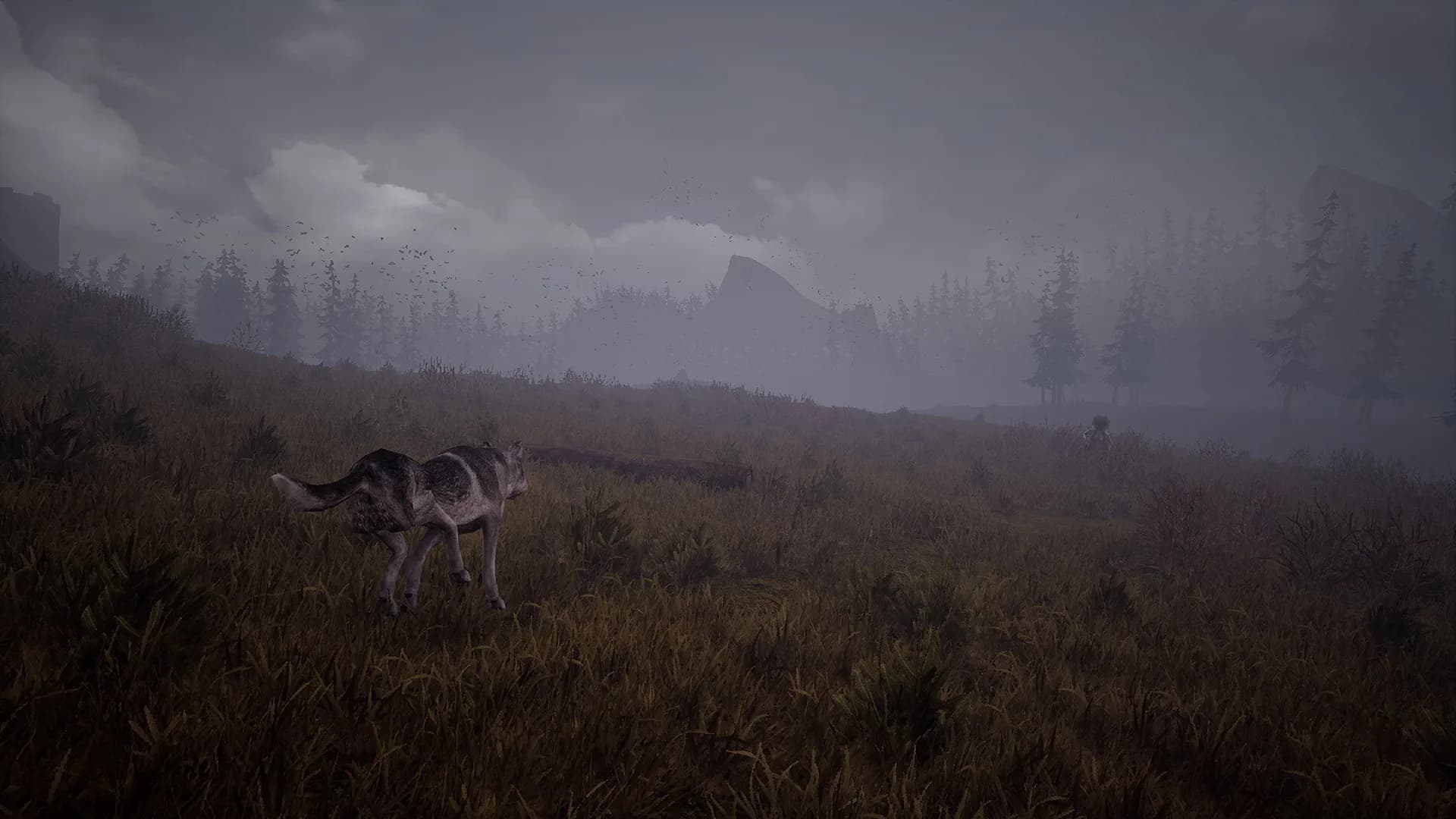 Wandering Wolf görsel 6