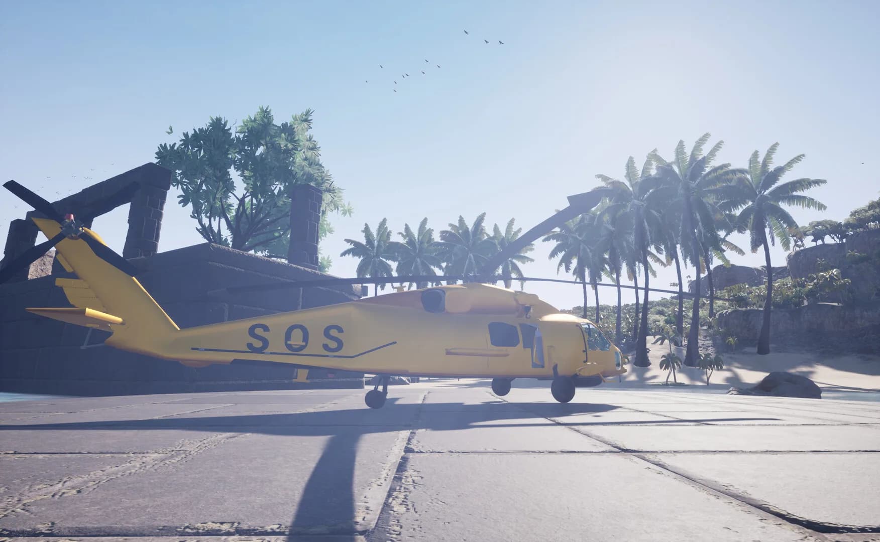 MIA: SOS görsel 2