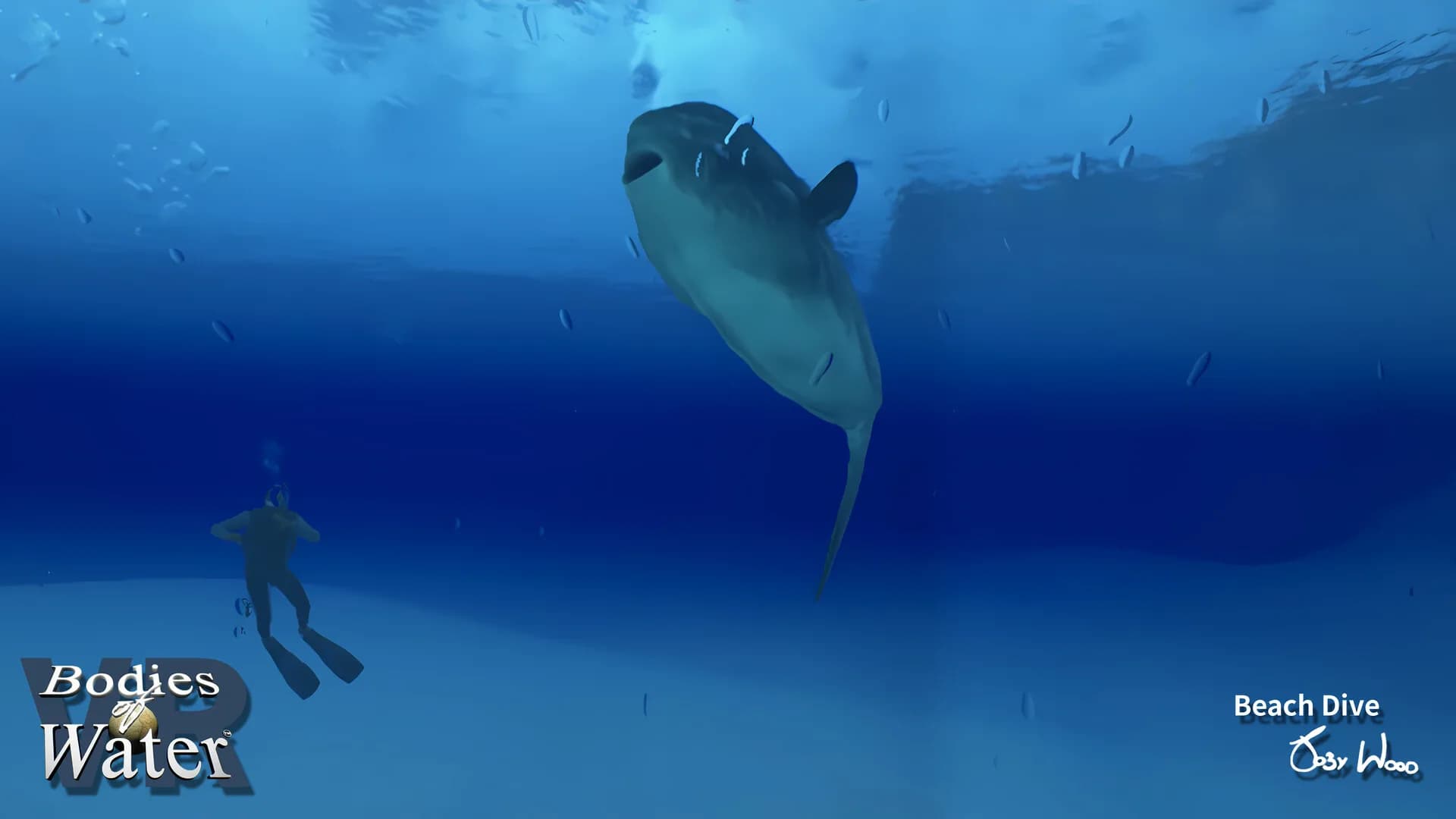Bodies of Water VR görsel 4