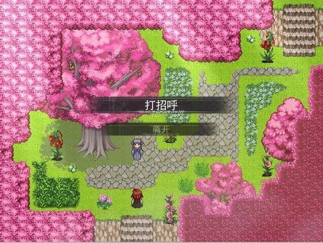 Flowering Across 樱下花期 görsel 7