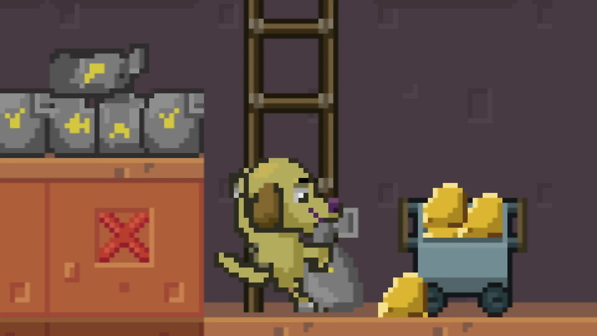 Golden Retriever görsel 6