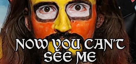 Now you can't see me görsel 1
