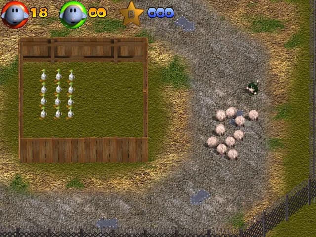 Sheep görsel 6