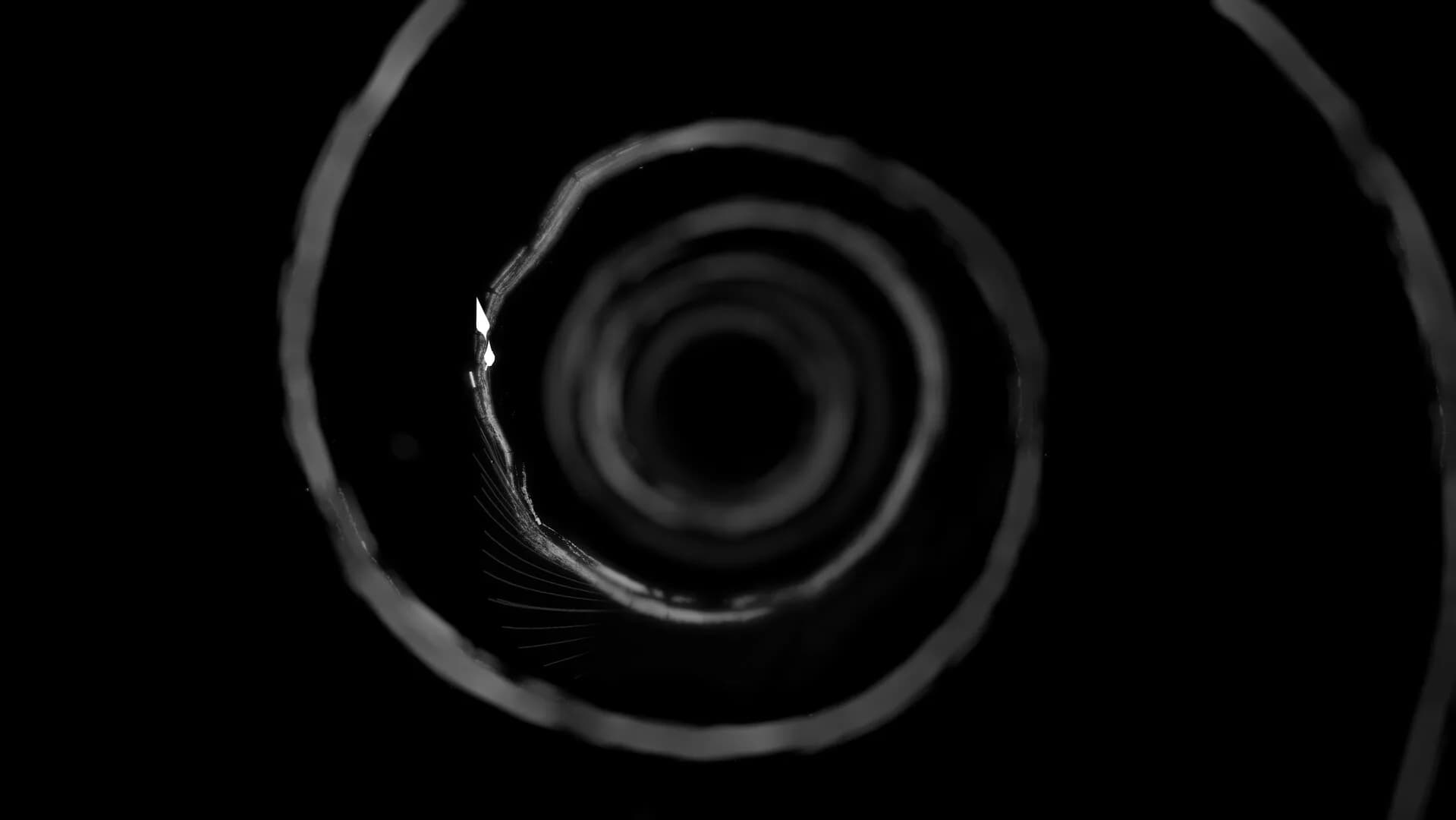 Stellations görsel 2