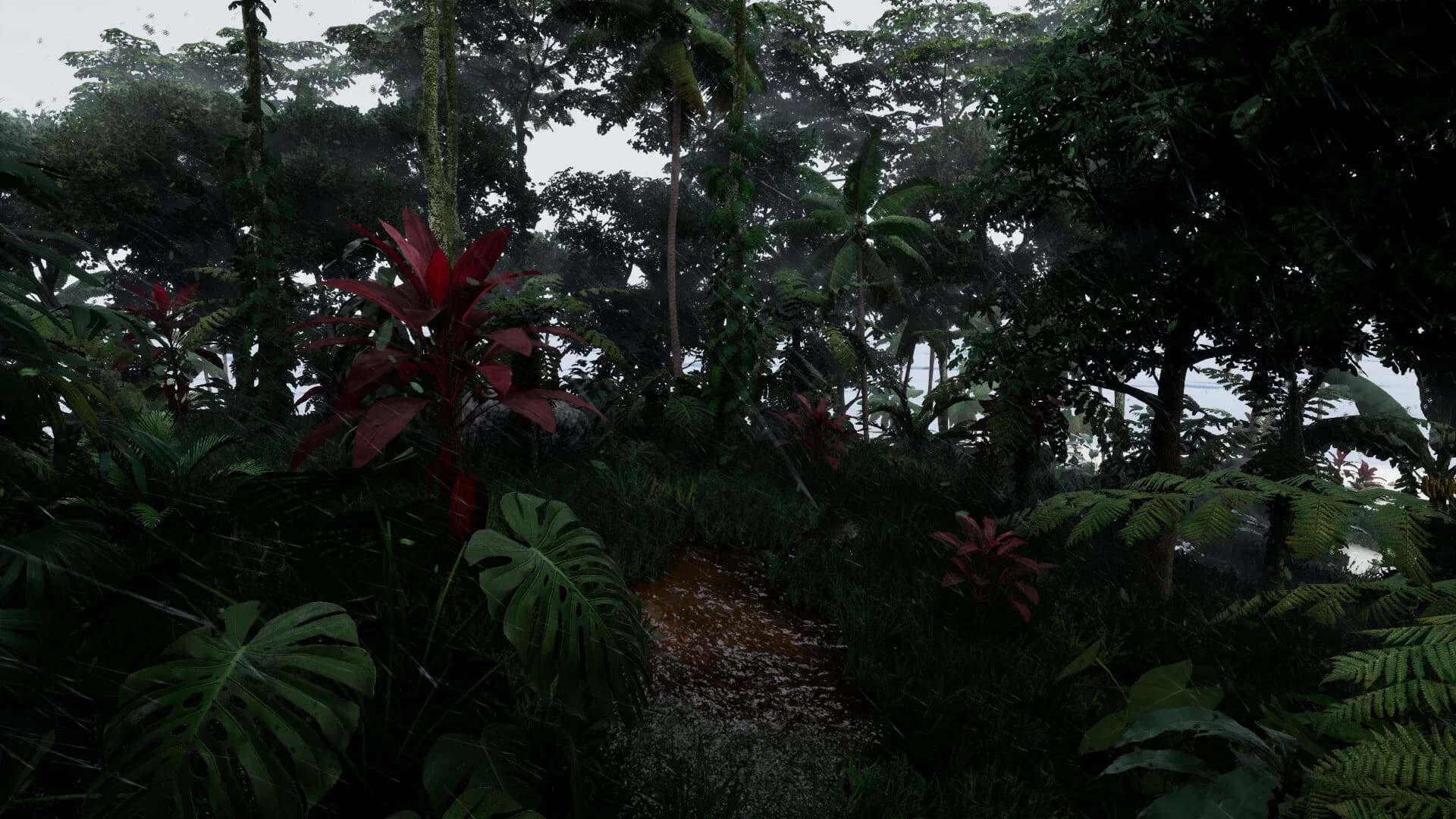 Cast Ashore görsel 7