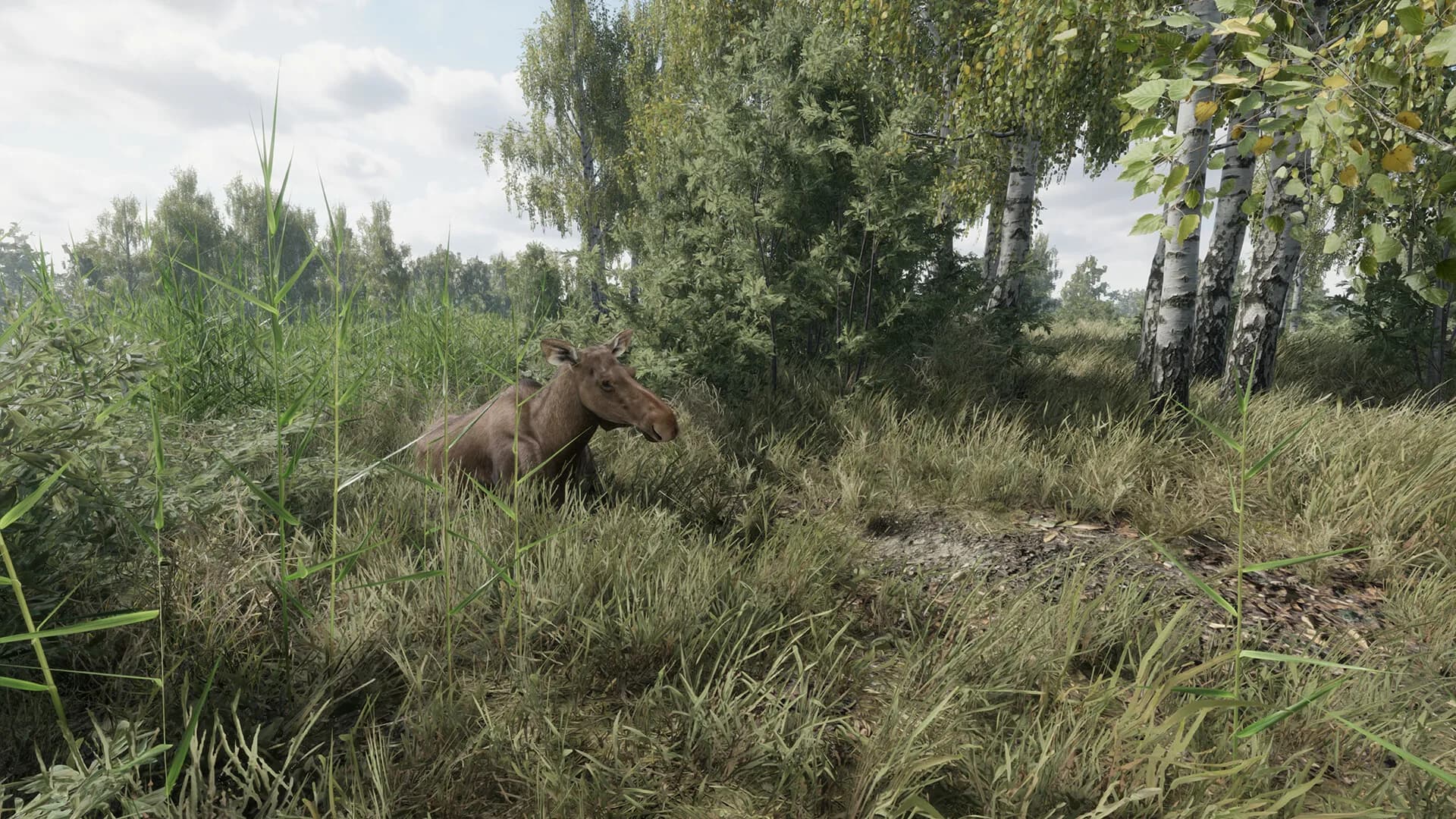 On the Hunt görsel 13