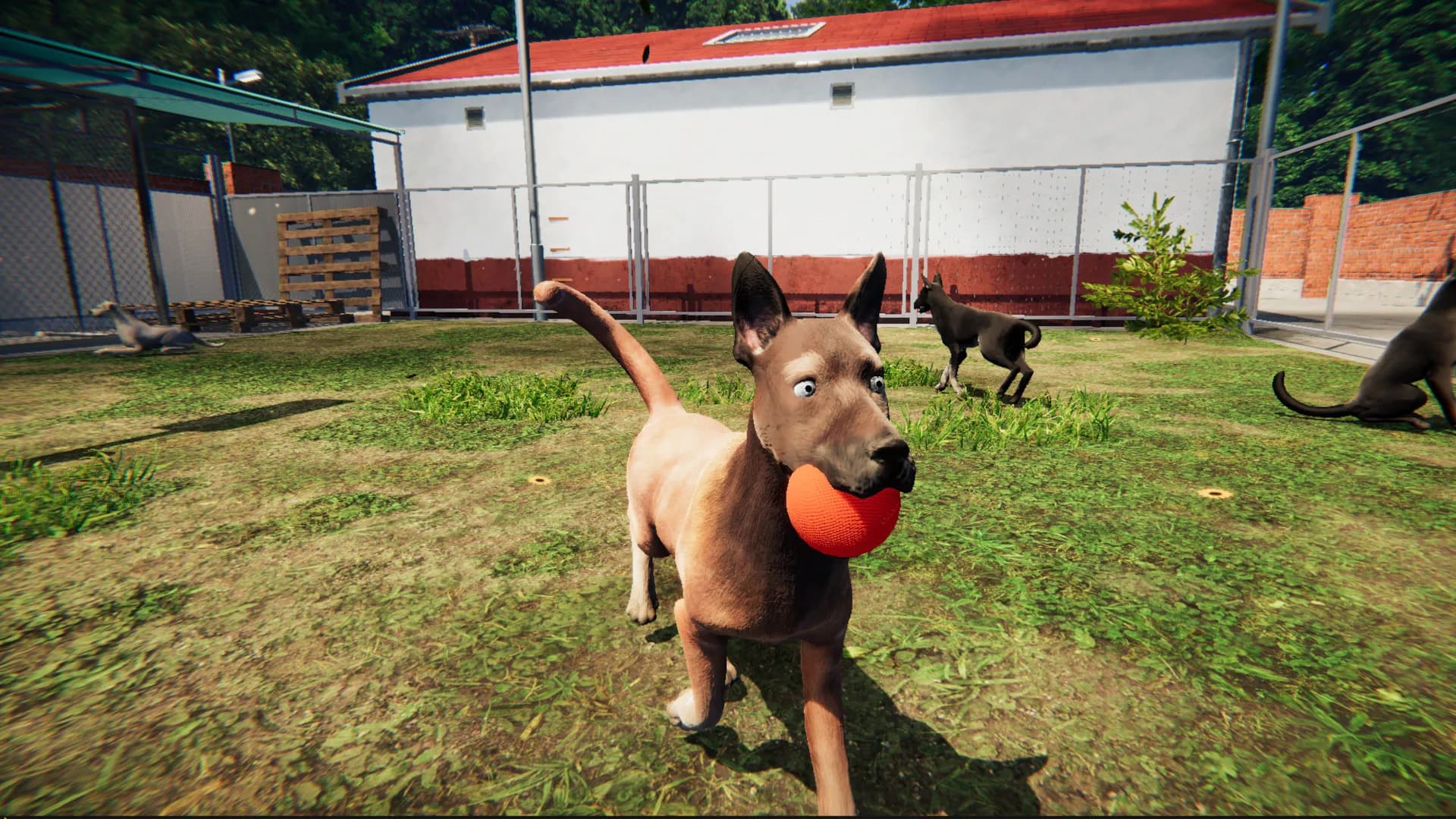 Animal Shelter: Prologue görsel 3